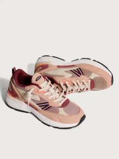 Damen HOFF State-ARKANSAS