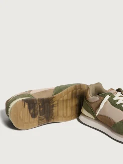 Damen HOFF City-BILOXI