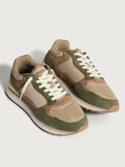 Damen HOFF City-BILOXI