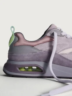 Damen HOFF Skyline-GUELL