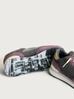 Damen HOFF City-GULFPORT