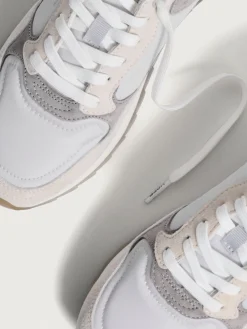 Damen HOFF City-LILLE