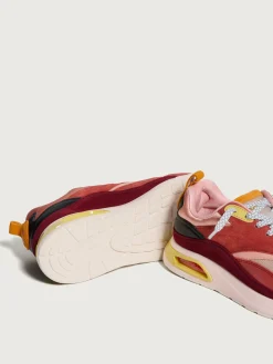 Damen HOFF Skyline-MARACANA