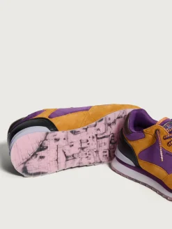 Damen HOFF City-MODENA