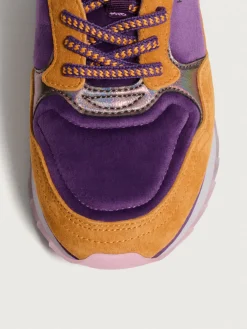 Damen HOFF City-MODENA