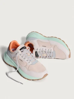 Damen HOFF City Mk Ii-OSLO II