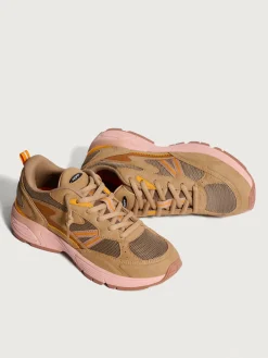 Damen HOFF State-RHODE ISLAND