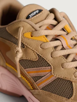 Damen HOFF State-RHODE ISLAND