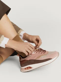 Damen HOFF Skyline-SKYTREE