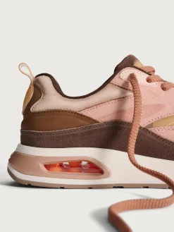 Damen HOFF Skyline-SKYTREE