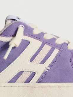 Damen HOFF Metro-SOL