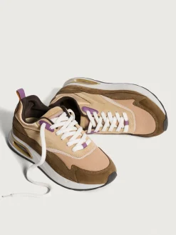 Damen HOFF Skyline-TODAI JI