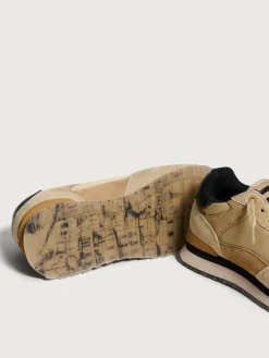 Damen HOFF City-TRIESTE